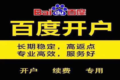 行业典范：百度竞价托管外包成功案例剖析